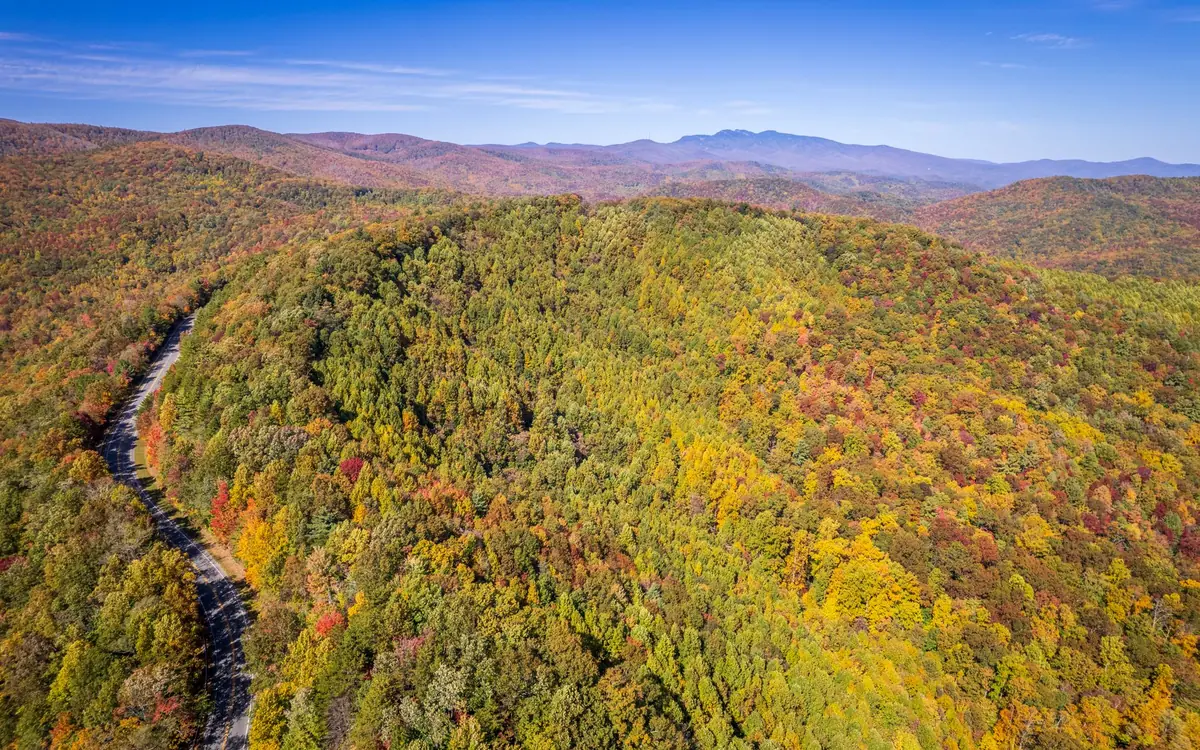 Aerial view of timbered rolling hills